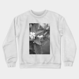 Black and White Plant Crewneck Sweatshirt